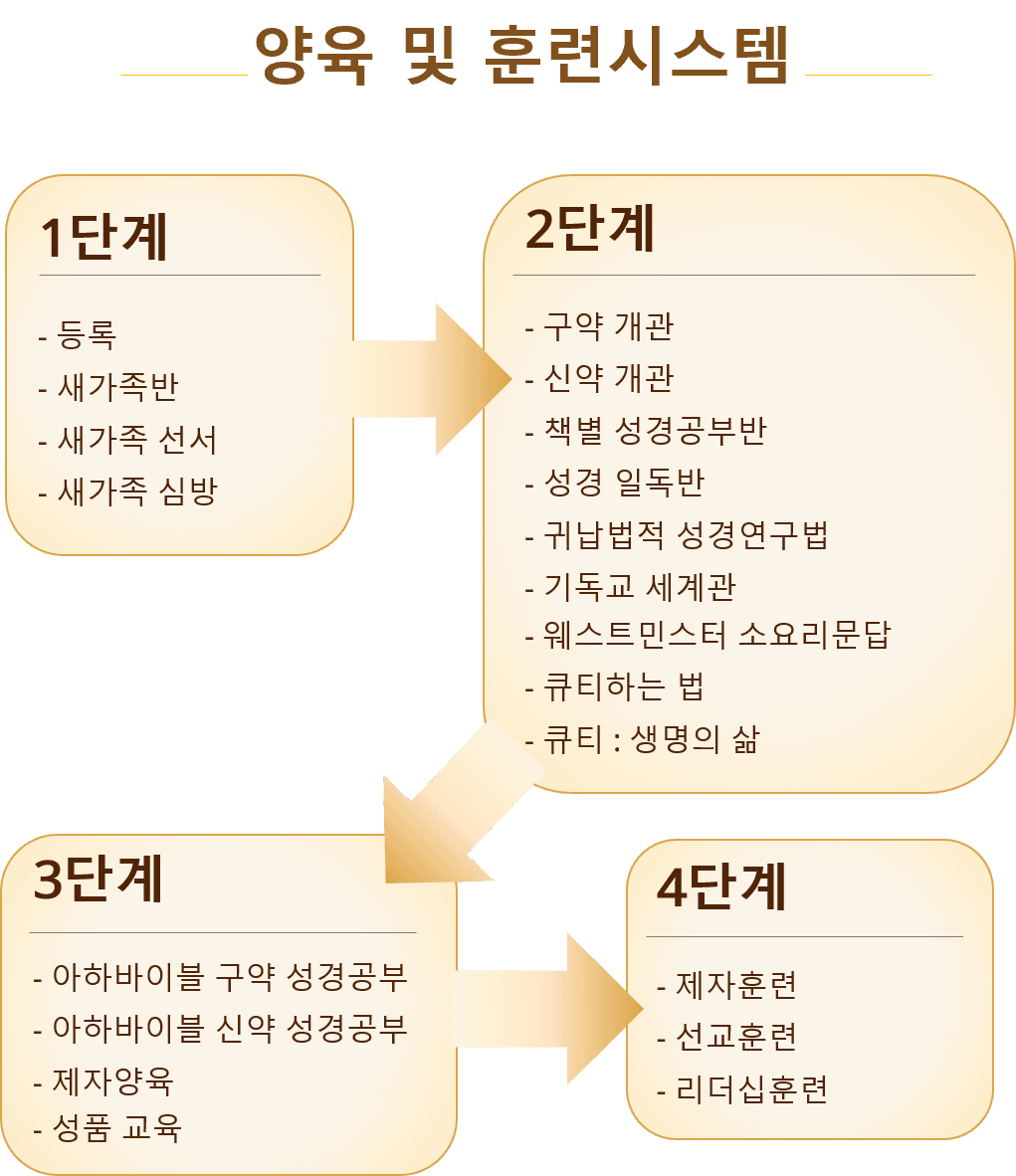 아바교회 커리큘럼